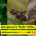 ARDA โชว์งานวิจัยรักษ์โลก