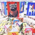 THE MALL LIFESTORE WORLD PUP EXPO 2024 มหกรรมความสนุกสุดยิ่งใหญ่ของชาวสี่ขา