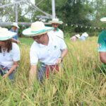 มูลนิธิเจริญโภคภัณฑ์พัฒนาชีวิตชนบท สืบสานภูมิปัญญา ‘นาริมเล’
