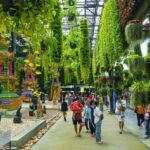 สวนนงนุชพัทยา เปิดให้ชมพิพิธภัณฑ์พระ คนไทยชมฟรี ตลอด พ.ย. 67 