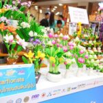   “ตลาดนัด SME สัญจร” ครั้งที่ 3      