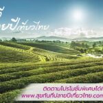 ททท. เปิดตัวโครงการ “สุขทันที ปลายปีเที่ยวไทย” 4 เซเลบริตี้ต่าง Gen กระตุ้นการเดินทางท่องเที่ยวช่วงปลายปี 