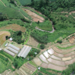 ชุมชนแม่จริม จังหวัดน่าน ตัวอย่างการบูรณาการทุกมิติ