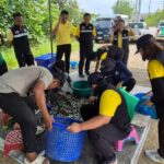 CPF หนุนประมงเพชรบุรีปราบปลาหมอคางดำต่อเนื่อง 18 สายคลองปริมาณปลาหมอคางดำลดลง