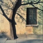 BEM ชวนอัปสกิลถ่ายภาพด้วยมือถือ 