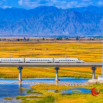 นั่งรถไฟความเร็วสูง ชมความสวยงามในฤดูใบไม้ร่วงที่หนิงเซี่ย