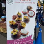 รู้เท่าทันส่งออกผลไม้ไทยอย่างไรไม่ให้ถูกตีกลับ