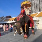 “เอ็ม ธนากร” ทายาทพันล้าน ขี่ช้างแห่นาคอย่างยิ่งใหญ่ โปรยทานหลายแสนบาท 