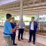 สทบ.อบรมหลักสูตร “อาสาปศุสัตว์” โครงการ ”โคแสนล้าน” จ.นครนายก