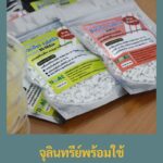 กล้วยปลอดภัย ชุมชนมีรายได้เพิ่ม ด้วยเทคโนโลยีการป้องกัน