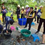 CPF หนุนประมงเพชรบุรีปราบปลาหมอคางดำต่อเนื่อง 18 สายคลองปริมาณปลาหมอคางดำลดลง
