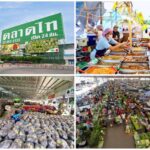 อาณาจักรค้าส่งผัก วัตถุดิบ อาหาร เจ ครบจบที่ตลาดไท 