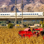 นั่งรถไฟความเร็วสูง ชมความสวยงามในฤดูใบไม้ร่วงที่หนิงเซี่ย