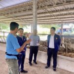 สทบ.อบรมหลักสูตร “อาสาปศุสัตว์” โครงการ ”โคแสนล้าน” จ.นครนายก