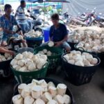 1ปีมีครั้งเดียว ชาวบ้านแห่ซื้อ สังขยามะพร้าวน้ำหอม วัดปราโมทย์ พลาดปีนี้ต้องรอปีหน้า
