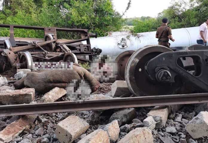 รถไฟบรรทุกน้ำมัน “ตกรางพลิกคว่ำ” หลังชนช้างป่า 2 ตัว-ตายอนาถในศรีลังกา