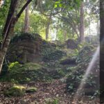 ห้ามพลาด อุทยานฯภูแลนคา เปิด 'สันพญานาค' เส้นทางสายมู-สายเดินป่า
