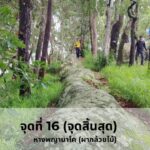 ห้ามพลาด อุทยานฯภูแลนคา เปิด 'สันพญานาค' เส้นทางสายมู-สายเดินป่า