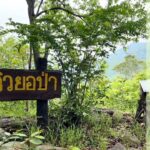 ห้ามพลาด อุทยานฯภูแลนคา เปิด 'สันพญานาค' เส้นทางสายมู-สายเดินป่า