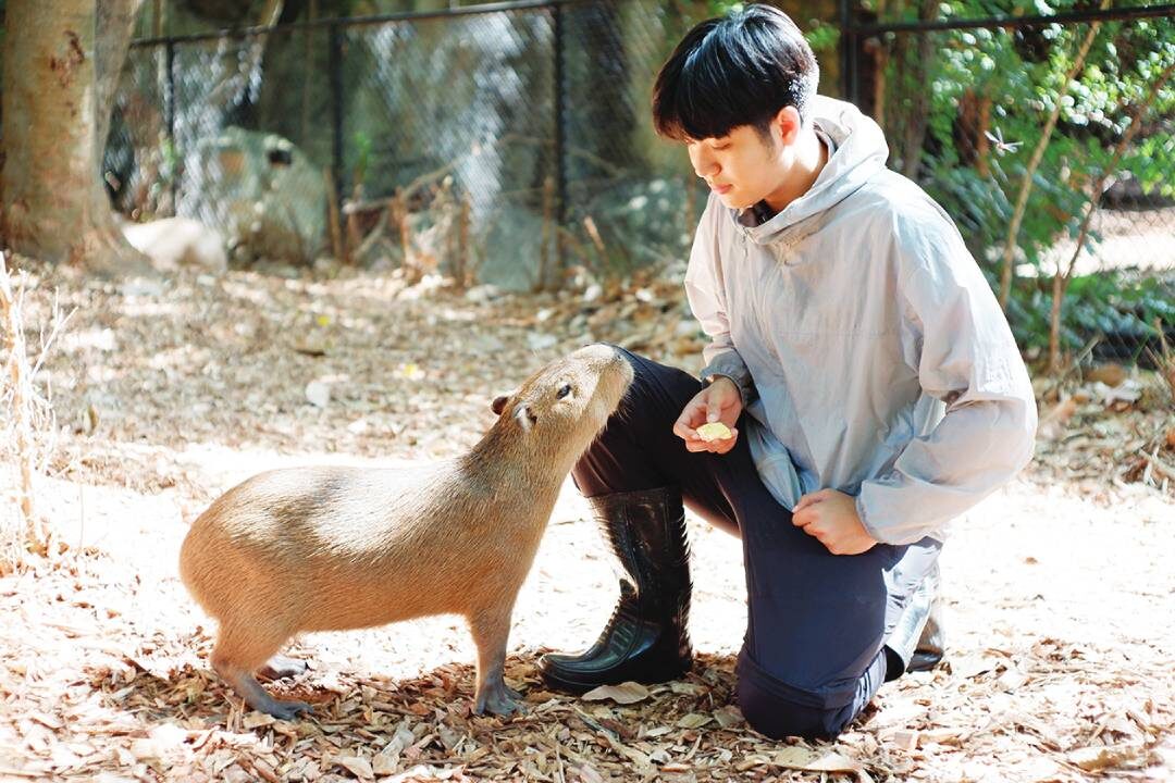 เพื่อนตัวเล็ก - หนูยักษ์สวนสัตว์โคราช อิ่มอร่อยกระทงผลไม้