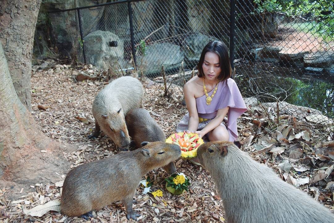 เพื่อนตัวเล็ก - หนูยักษ์สวนสัตว์โคราช อิ่มอร่อยกระทงผลไม้