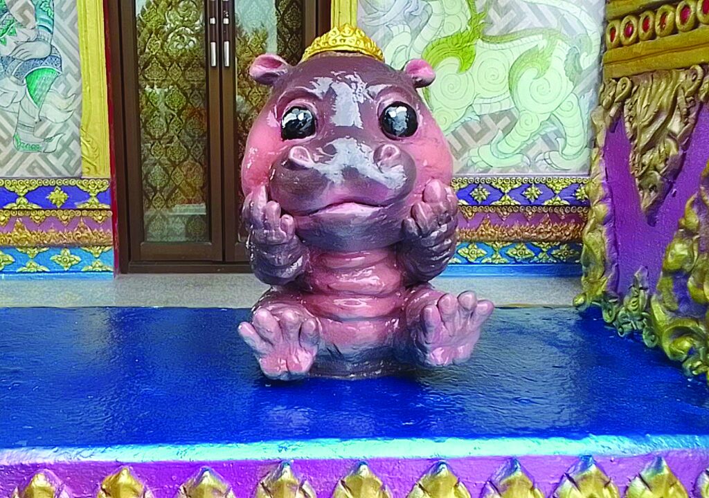 สดจากเยาวชน - หมูเด้ง-ซูเปอร์ฮีโร่ โบสถ์เก่าวัดโคราช