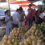 ทะลักชายแดน มะม่วงแก้วขมิ้น สั่งนำเข้าจากเขมร ราคาถูก 7 กิโล 100 นทท.แห่ซื้อคึกคัก  