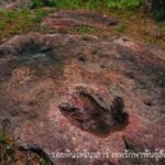 ชวนเที่ยว อช. ทางบก-ทะเล ทั่วไทย รับฤดูกาลท่องเที่ยว แนะเดินป่า สัมผัสธรรมชาติใกล้ชิด