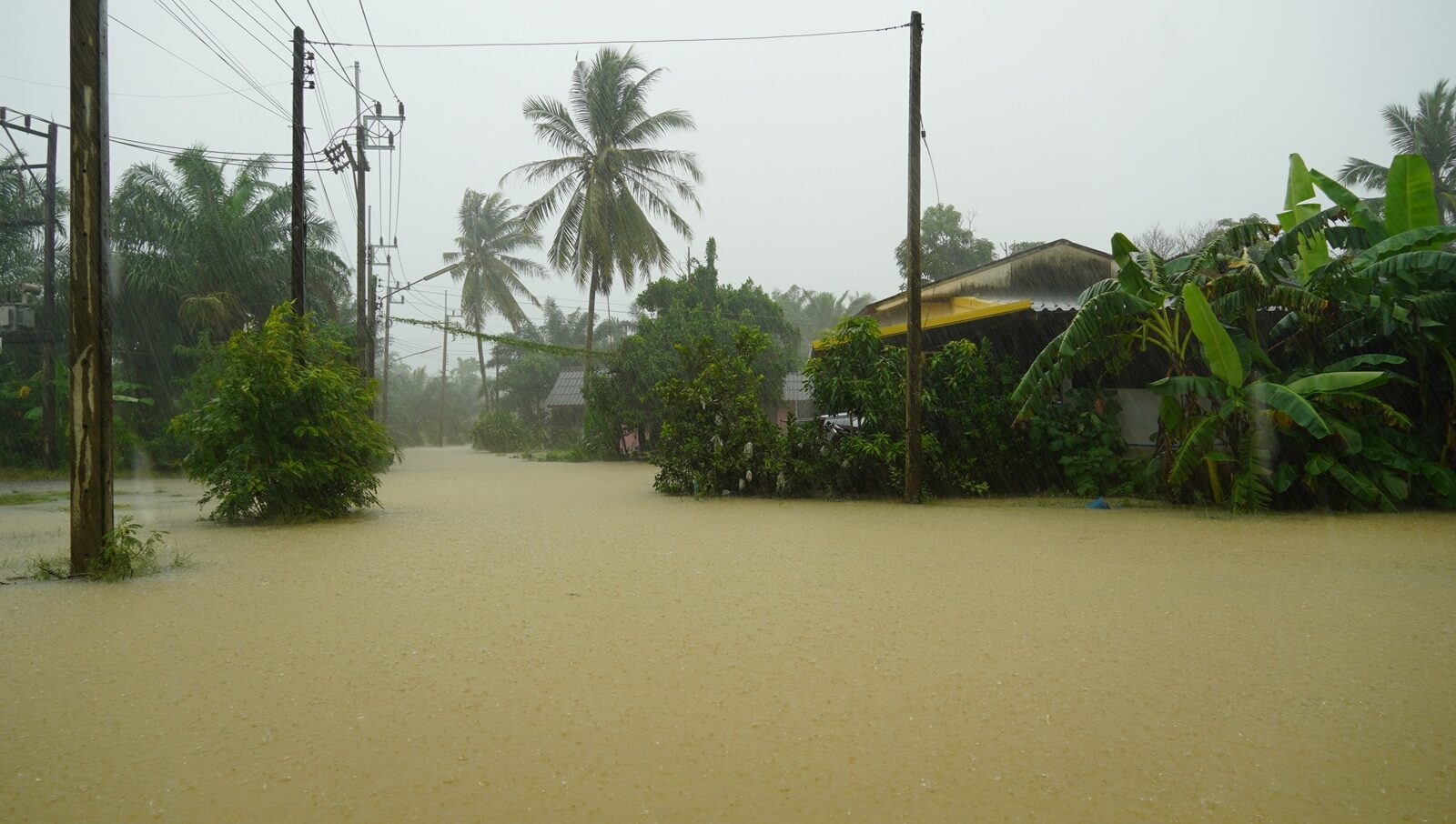 ฝนถล่มหนัก ประกาศเขตภัยพิบัติ 15 ตำบล 4 อำเภอ ผจญ อุทกภัย-วาตภัย เร่งอพยพชาวบ้าน