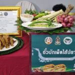 ชวนชิมอาหารถิ่น อั่วบักเผ็ดไส้ปลา เมนูสืบทอด300ปี อร่อยที่งานประจำปีอ.ตรอน