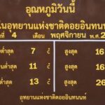 อุณหภูมิลดฮวบ เย็นสะท้าน ดอยอินทนนท์ 7 องศา นักท่องเที่ยวแห่สัมผัสอากาศหนาวคึกคึก