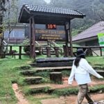 ใกล้แตะเลขตัวเดียว ดอยอินทนนท์ 10 องศา นักท่องเที่ยวแห่สัมผัสอากาศหนาวเย็น