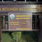 ยอดดอยอินทนนท์ อากาศเย็น เช้านี้ 8 องศา นักท่องเที่ยวแห่สัมผัสอากาศหนาว