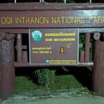 อากาศหนาว ดอยอินทนนท์ 6 องศา นักท่องเที่ยวคึกคัก พร้อมรับนทท. เสาร์-อาทิตย์ 