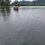 สุดประทับใจ! นักท่องเที่ยวตื่นตา แล่นเรือพบ 'พะยูน' โตเต็มวัย กำลังกินหญ้าทะเล
