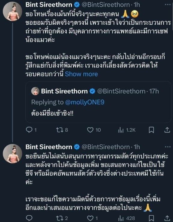บิ๊นท์
