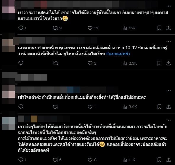 บิ๊นท์