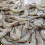 กุ้ง โปรตีนคุณภาพดี อร่อยช่วยชาติ
