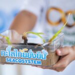 เครือซีพี ผนึก ภาครัฐ - ภาคประชาสังคม - ชุมชน เร่งฟื้นฟู “หญ้าทะเล” อ่าวไม้ขาว จ.สตูล