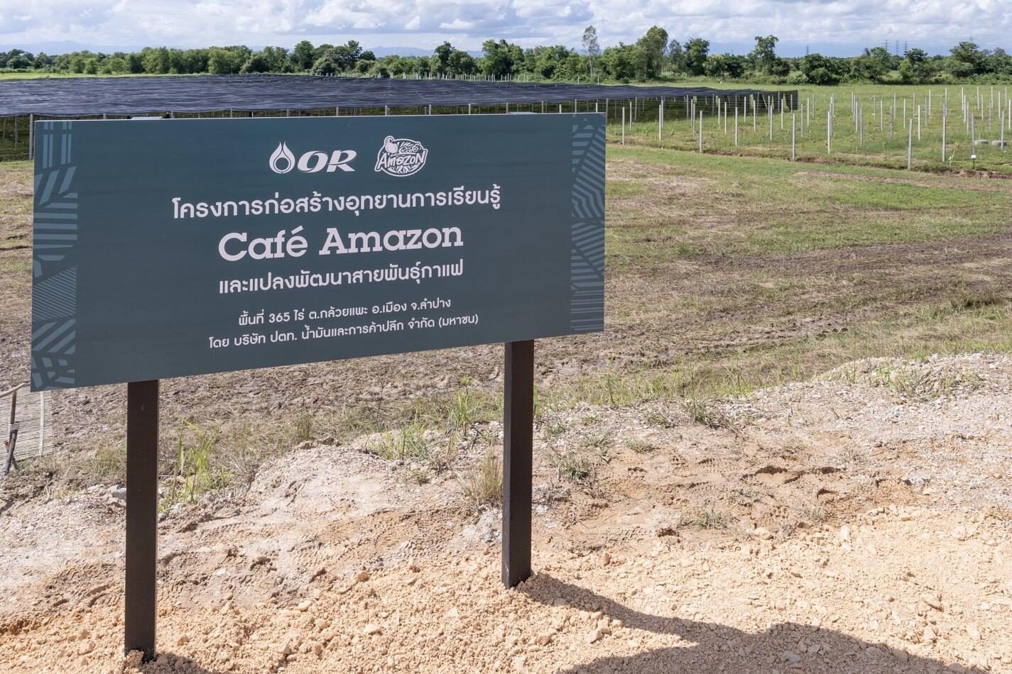 ภายในโครงการ Café Amazon Park จ.ลำปาง 