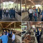 สทบ.อบรมหลักสูตร“อาสาปศุสัตว์” ภายใต้โครงการ"โคแสนล้าน” จ.อุบลราชธานี