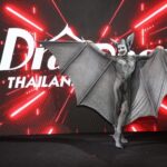 สยามเซ็นเตอร์ เนรมิตพื้นที่กลางสยาม ต้อนรับฮาโลวีนกับเหล่า Drag Star 