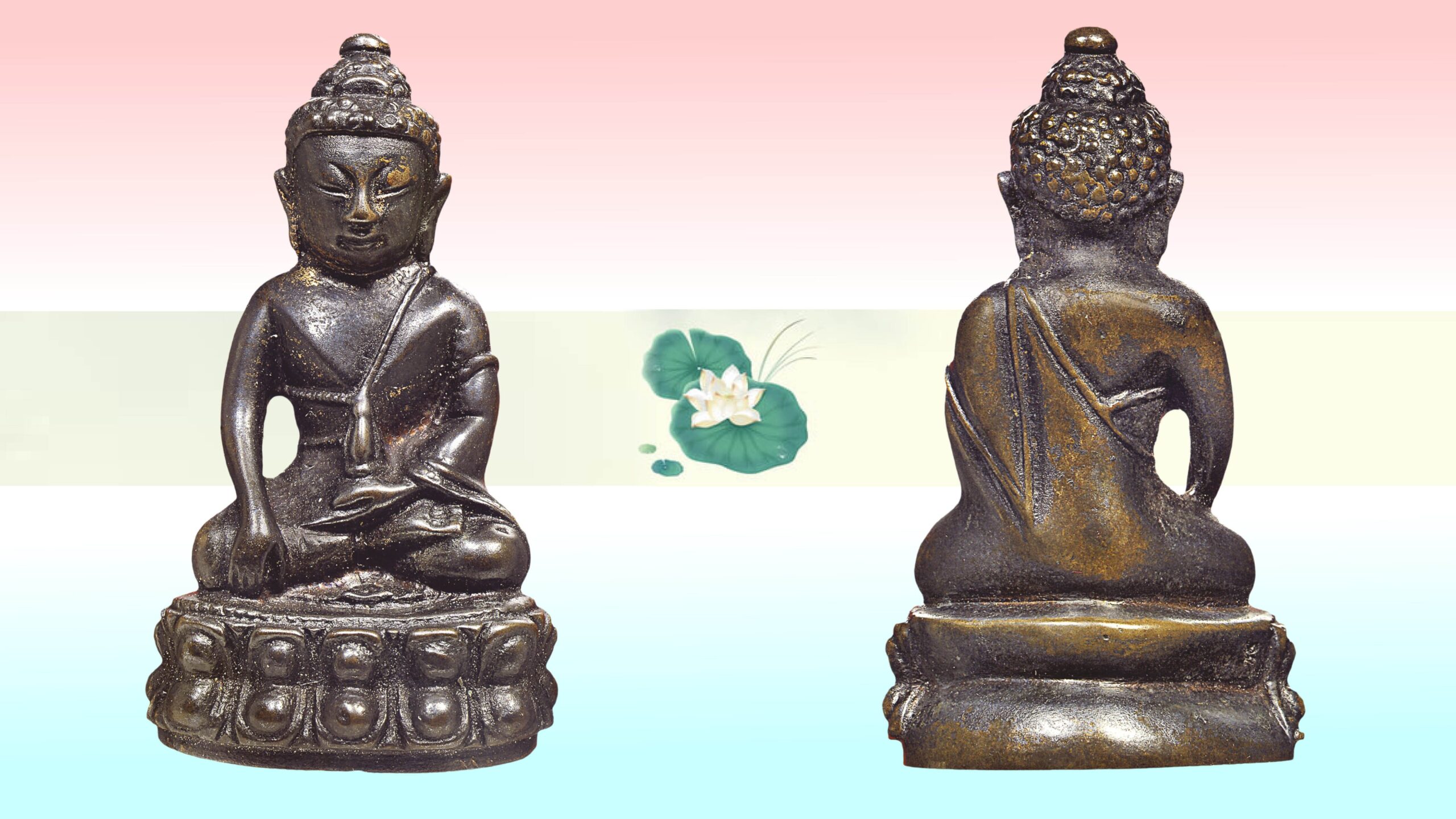 .ชมพระกริ่งใหญ่ถาวโร ดอกพิกุลเล็ก.