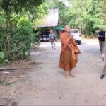 จีวรบินหนีแทบไม่ทัน พระแตกตื่น หนุ่มเมากร่างขับรถไถชนทำลายทรัพย์สินวัดพังยับ