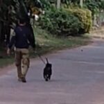 คนรักหมาสุดดีใจ เจ้าของสุนัขรับเจ้าตูบกลับบ้านแล้ว ไม่ต้องนั่งรอตากแดด ทนร้อนท้ายรถหกล้อ