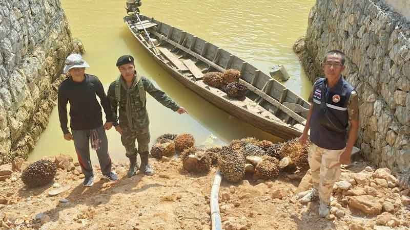 Thailand intercepts illegal palm oil smuggling in Ranong | News by Thaiger