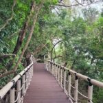 รับไฮซีซั่น อุทยานฯหาดเจ้าไหม เปิดแหล่งท่องเที่ยวใหม่ เขาแบนะ งดงาม ตื่นตาตื่นใจ