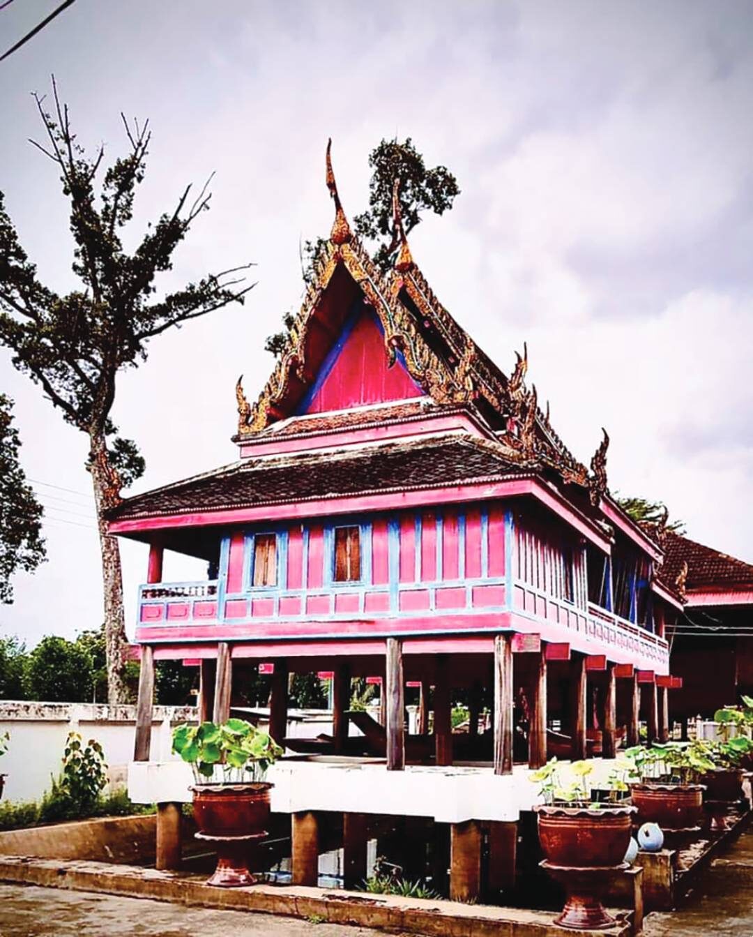รายงานพิเศษ - เหรียญหลวงพ่อดิษฐ์ วัดอัมพวัน นนทบุรี