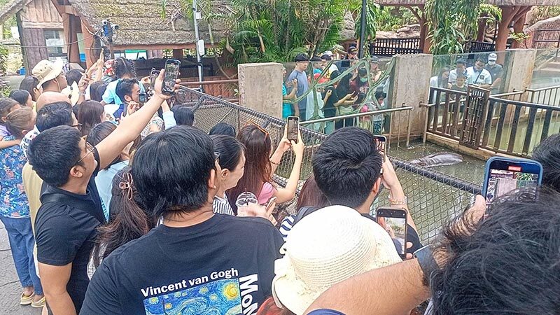 Khao Kheow Zoo to expand with new Hippo Village project | News by Thaiger