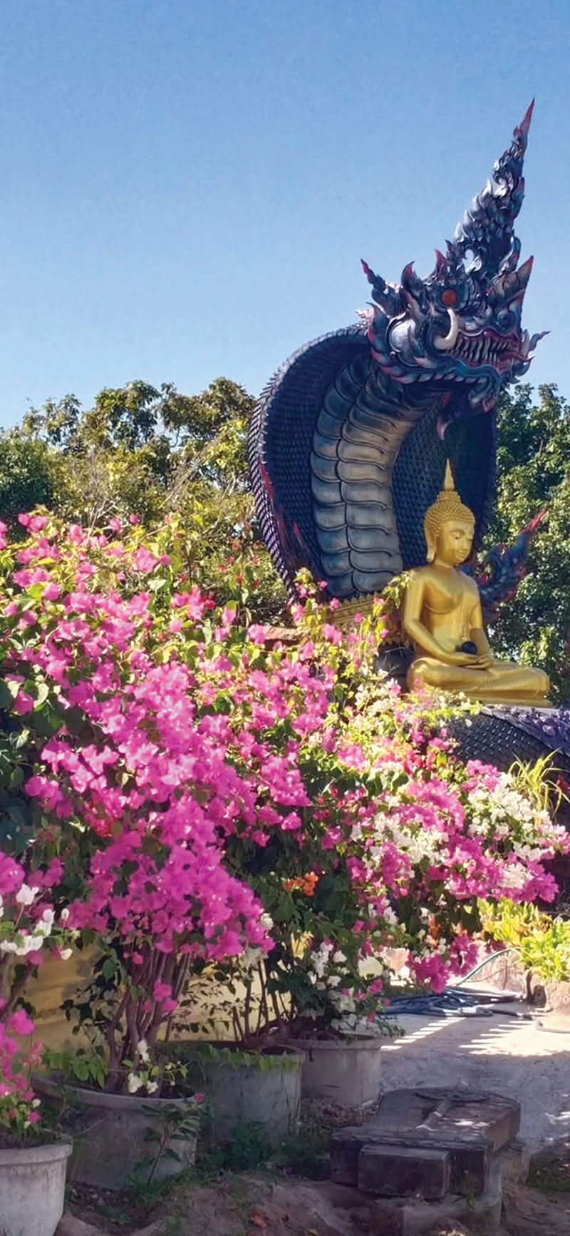 ข่าวสดพระเครื่อง - เหรียญหล่อ‘พระสีวลี’ สมทบพัฒนาวัดภูด่านแต้